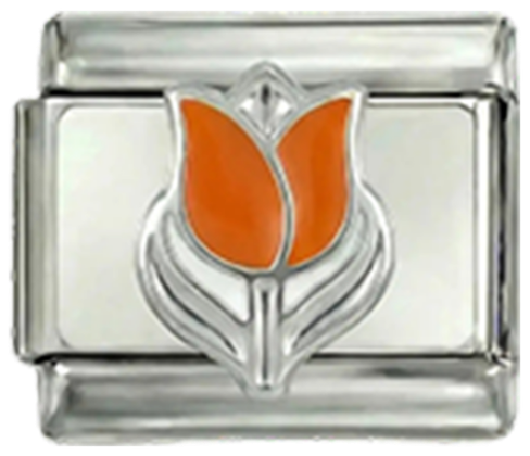 Tulipán neerlandés