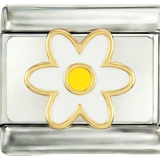 White Daisy and Her Yellow Heart