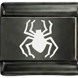 White Spider on Black