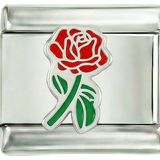 Rosa roja entera con su tallo verde