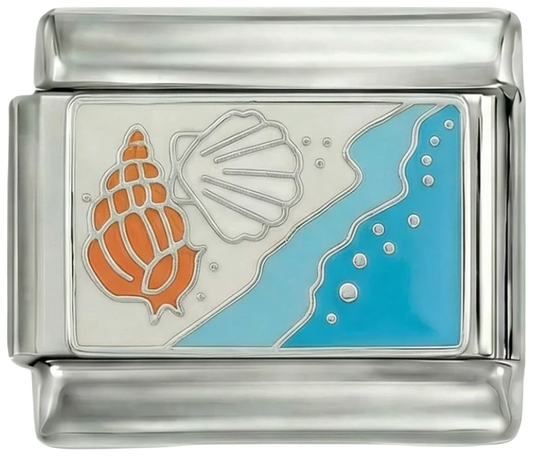 Shells at the Beach on White Sand - shells-at-the-beach-on-white-sand.png