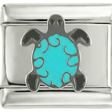 Turquoise Turtle - turquoise-turtle.png